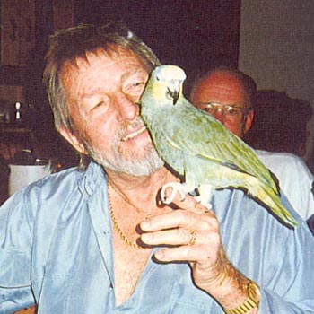 Parrot - Vito