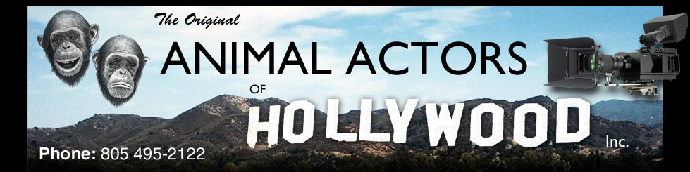 Animal Actors of Hollywood Inc